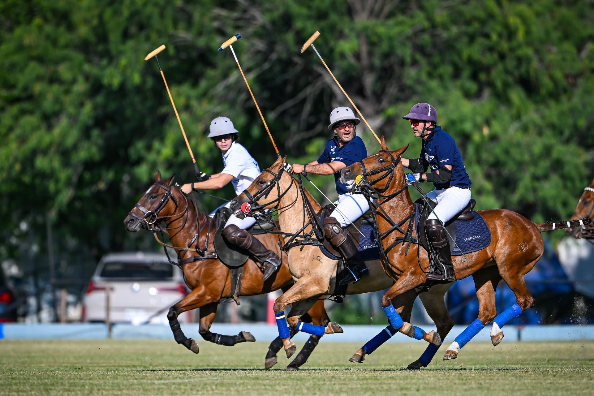Jugadores de La Gavilana Polo en acción durante un partido.